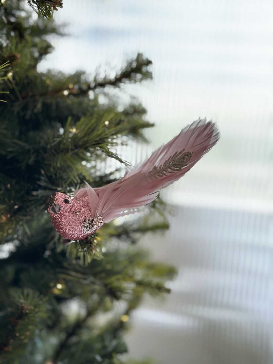 Blushing Feathered Bird Clip Ornaments (pair)