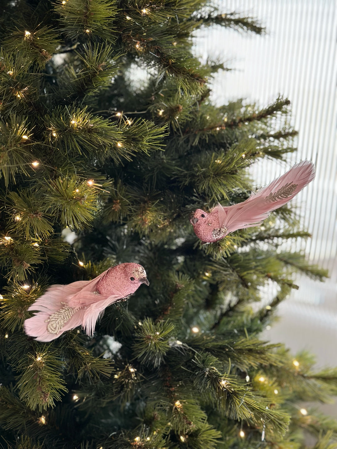 Blushing Feathered Bird Clip Ornaments (pair)