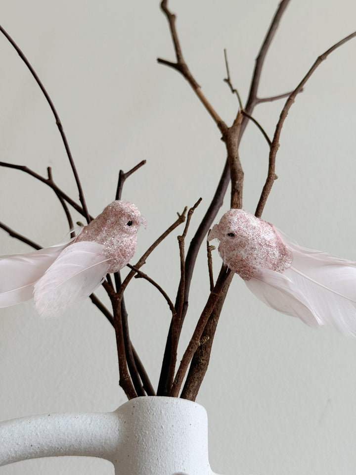 Blushing Feathered Lovebirds Duo