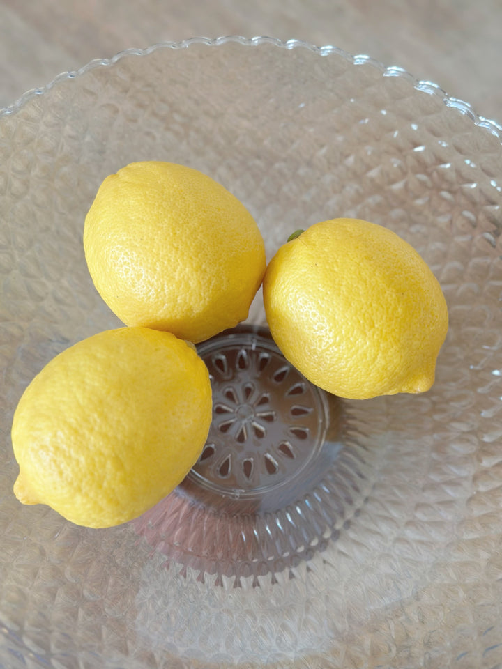 AquaScallop Fruit Bowl - clear