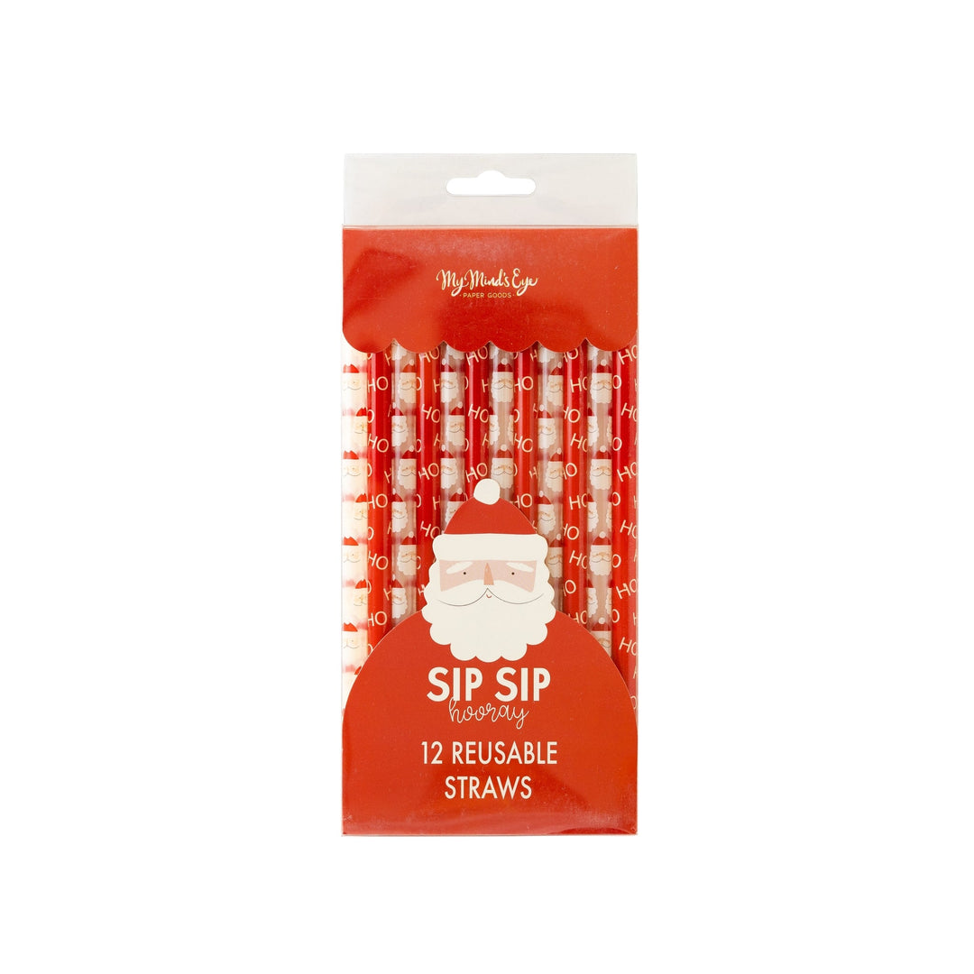 Believe Santa Reusable Straw Set