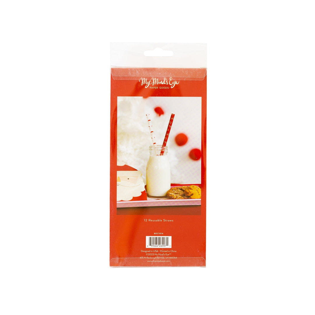 Believe Santa Reusable Straw Set