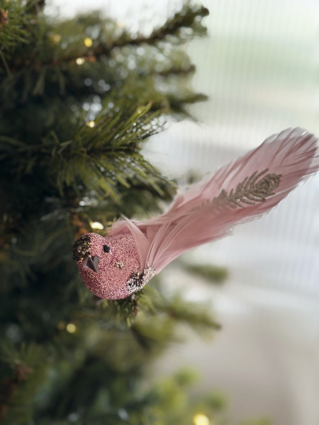 Blushing Feathered Bird Clip Ornaments (pair)