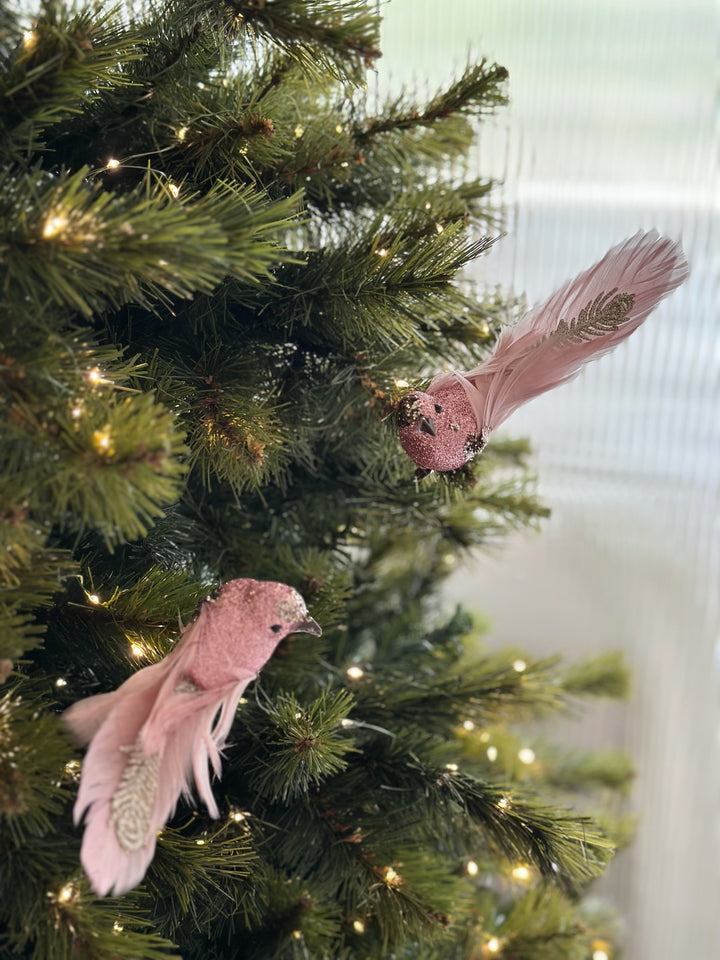 Blushing Feathered Bird Clip Ornaments (pair)