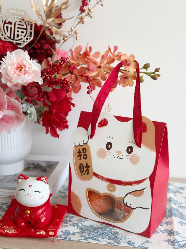 Lucky Fortune Cat Gift Bag (3 Options)