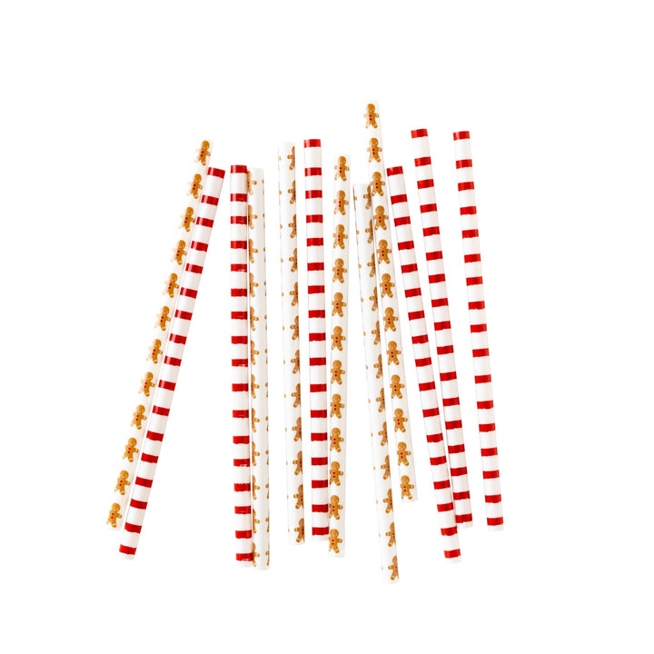 Gingerbread Reusable Straws