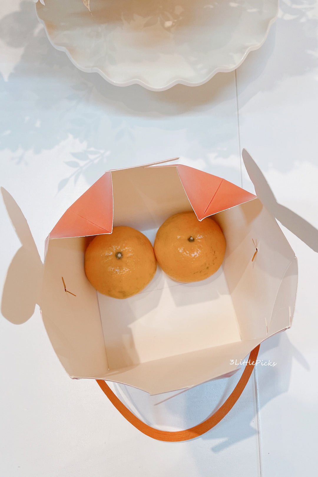 Persimmon Gift Bag (Set of 2)