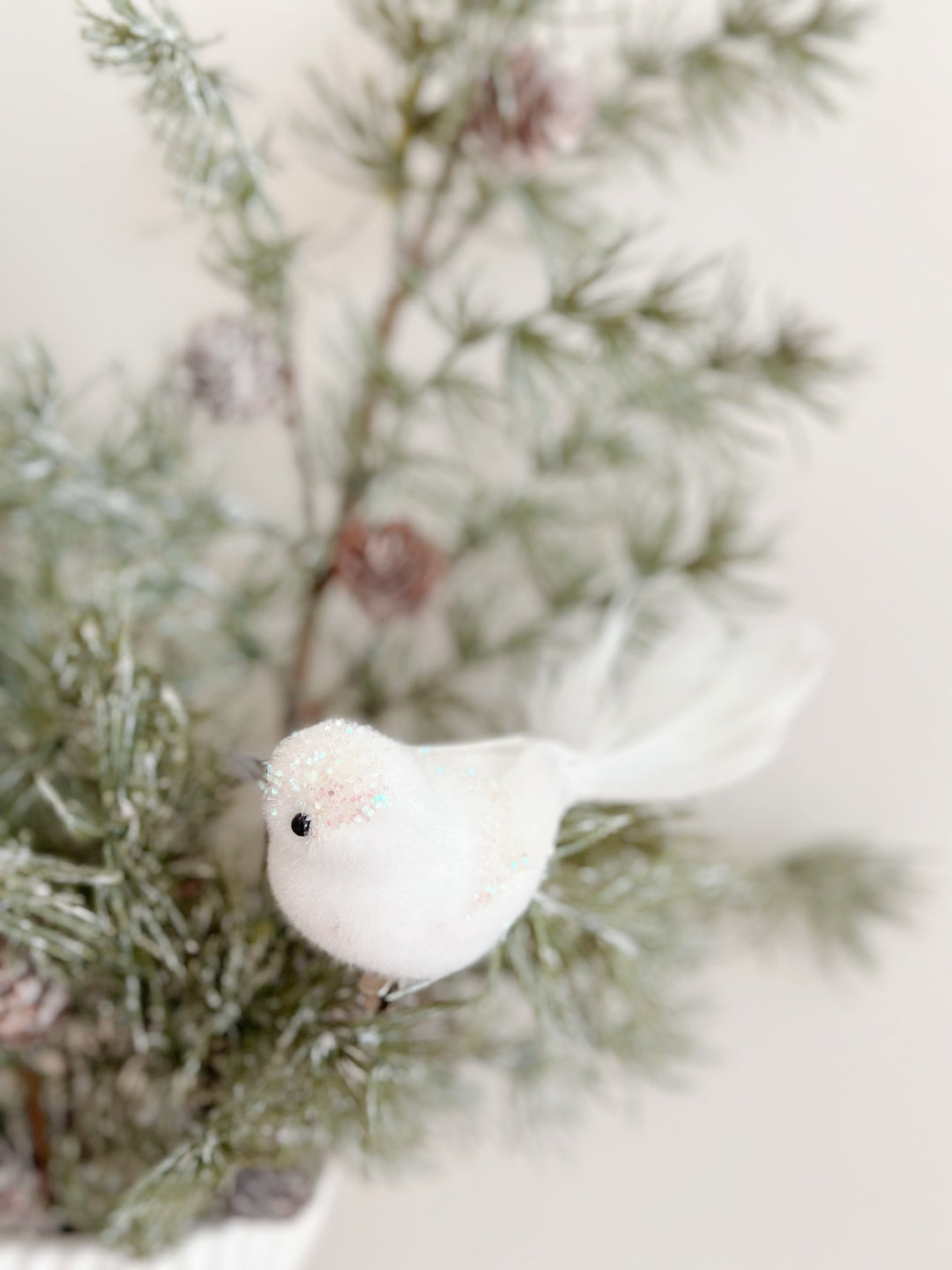 WinterWhimsy Winged Wonders