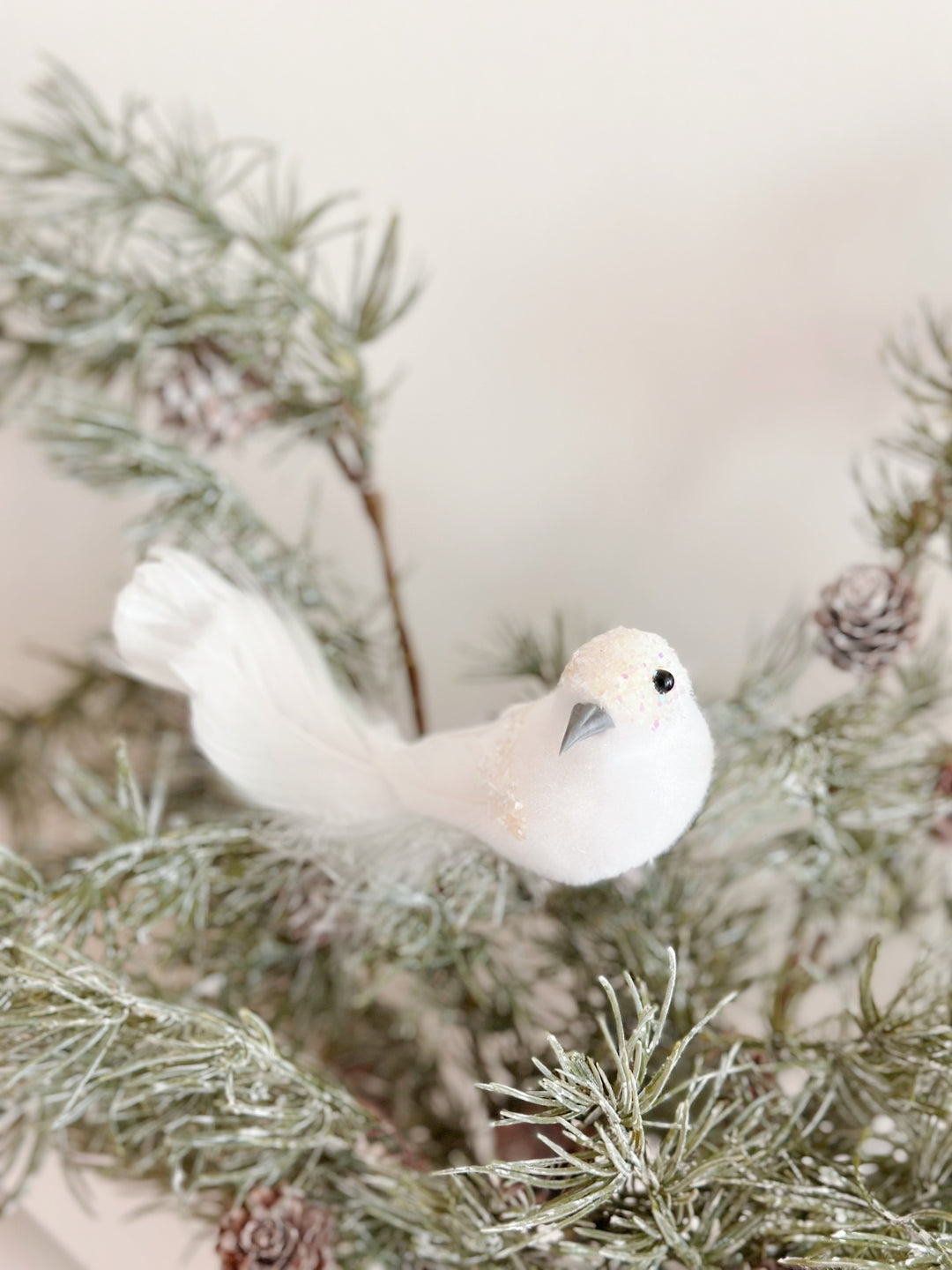 WinterWhimsy Winged Wonders