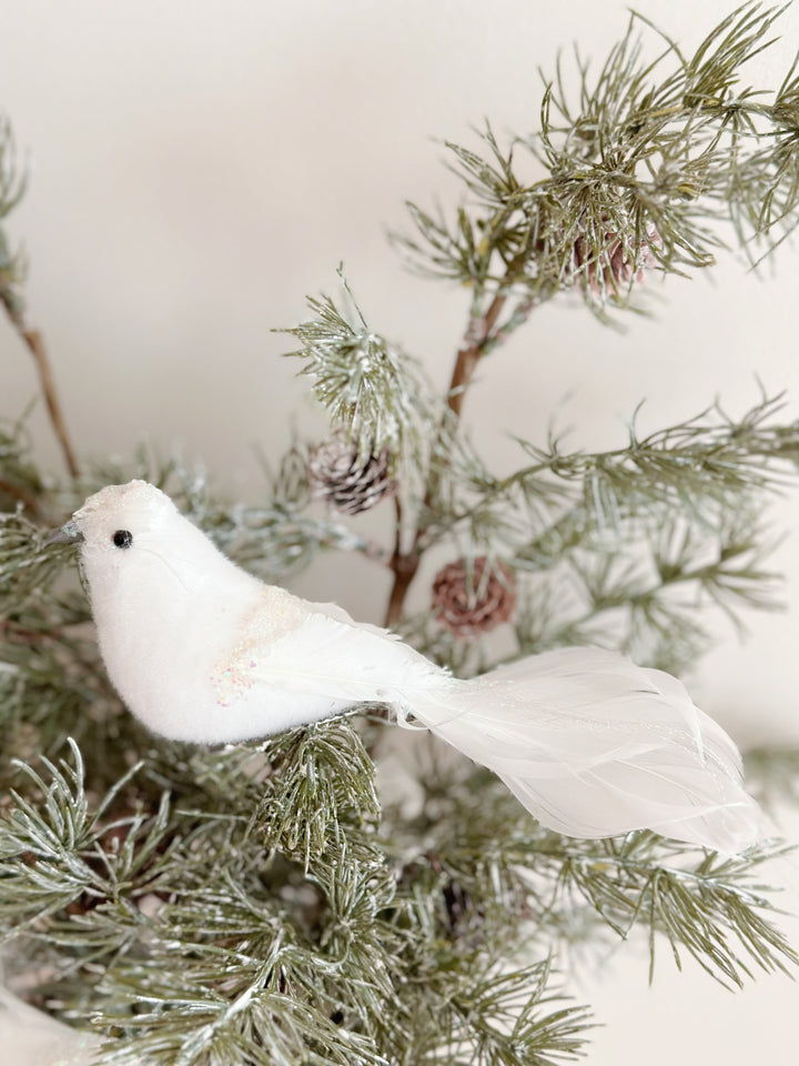 WinterWhimsy Winged Wonders