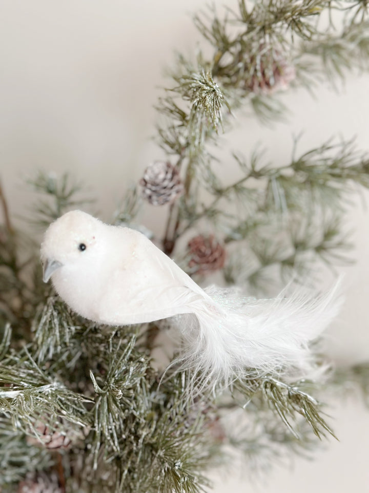 WinterWhimsy Winged Wonders