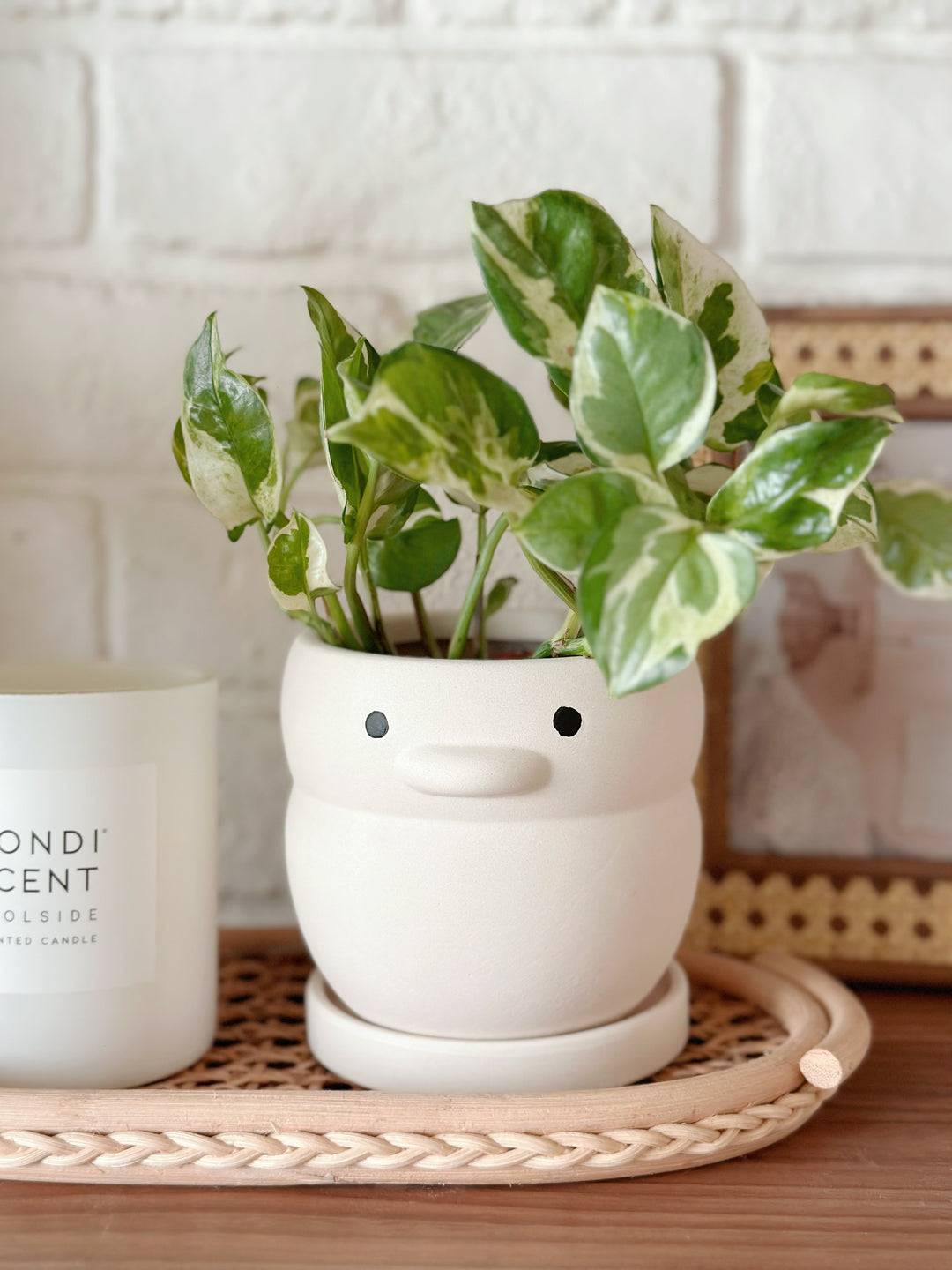 Chubby Ducky Small Flowerpot with Saucer - Cream White