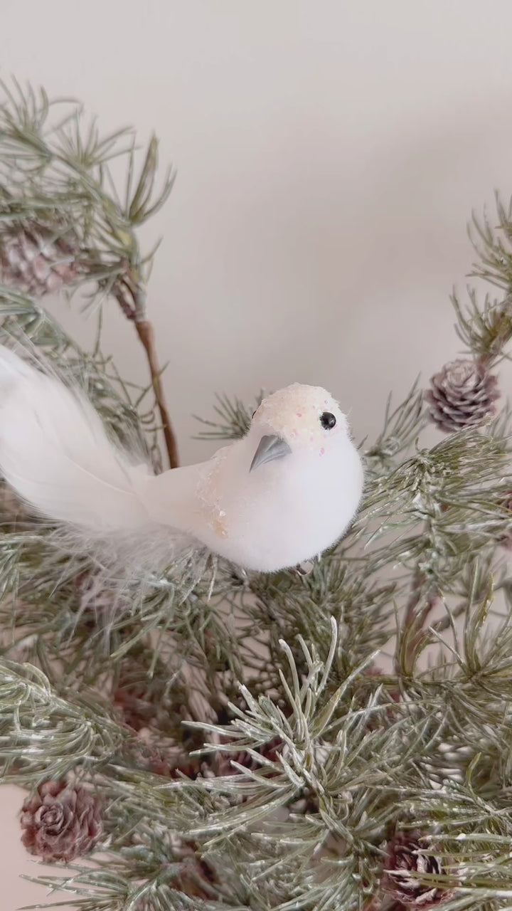 WinterWhimsy Winged Wonders