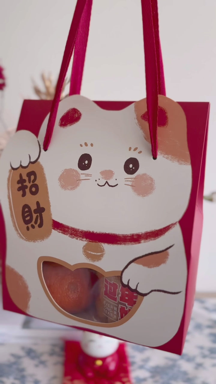 Lucky Fortune Cat Gift Bag (3 Options)